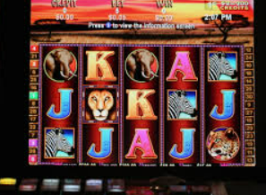 大满贯app2024最新版